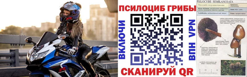 Псилоцибиновые грибы ЛСД Омск