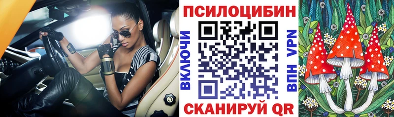как найти   Омск  Галлюциногенные грибы Psilocybine cubensis 